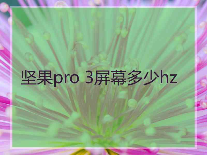 坚果pro 3屏幕多少hz