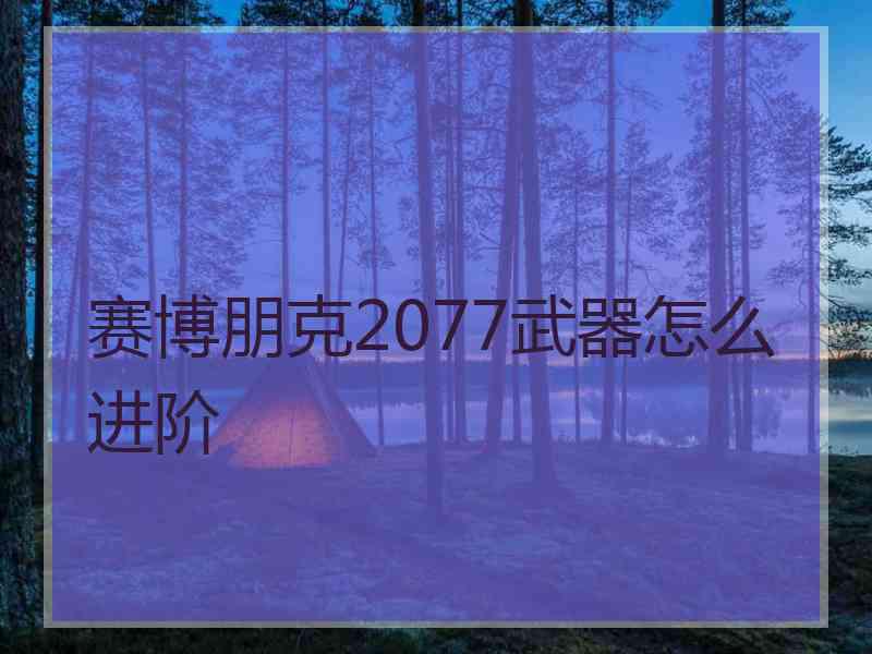 赛博朋克2077武器怎么进阶