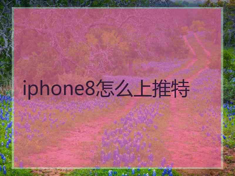 iphone8怎么上推特