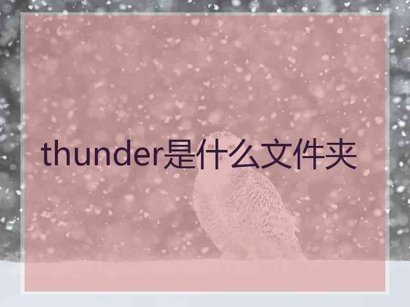 thunder是什么文件夹