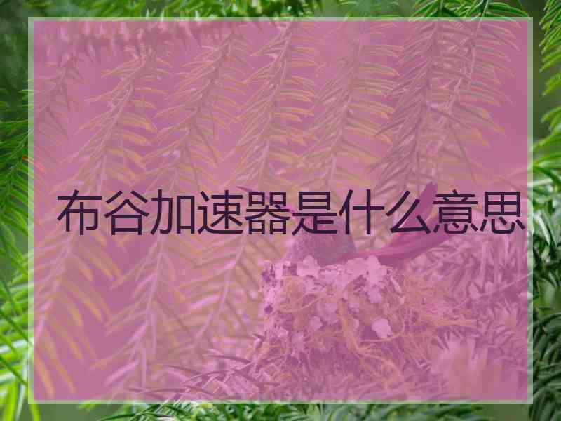 布谷加速器是什么意思