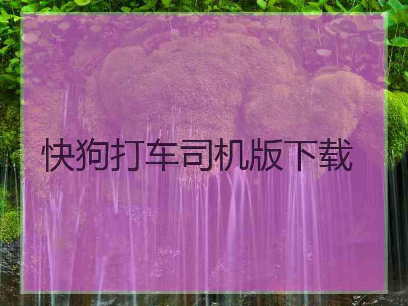 快狗打车司机版下载