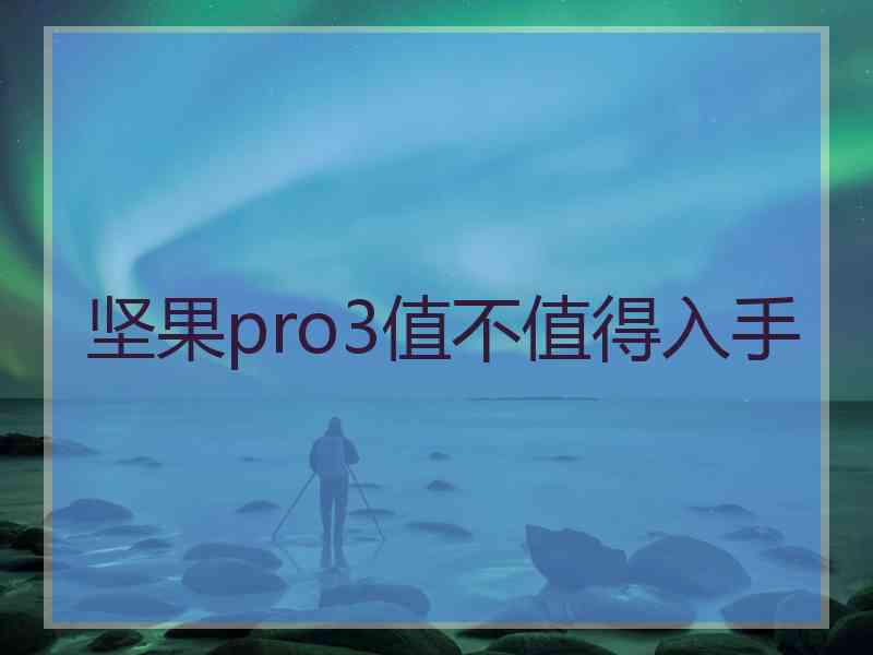 坚果pro3值不值得入手