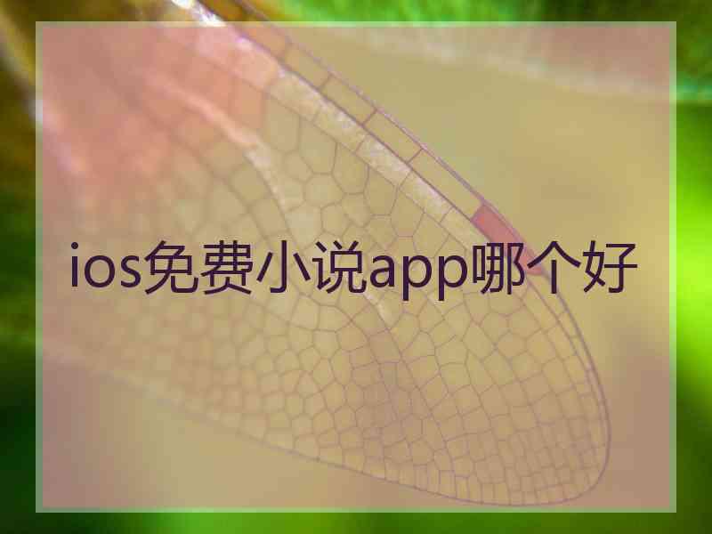 ios免费小说app哪个好