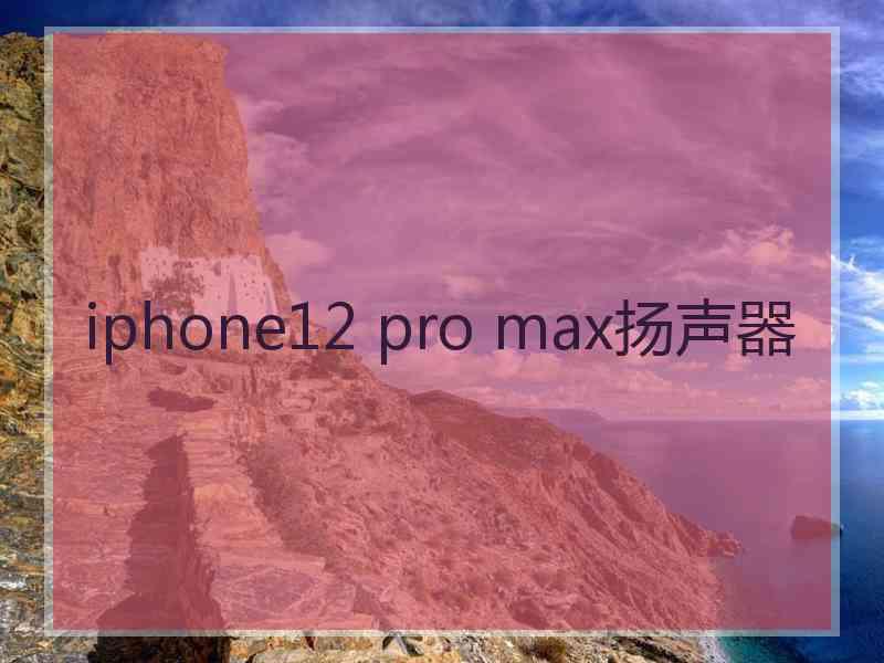 iphone12 pro max扬声器
