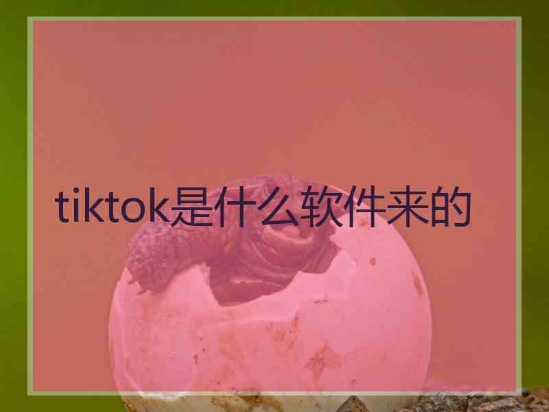 tiktok是什么软件来的