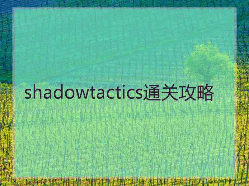 shadowtactics通关攻略