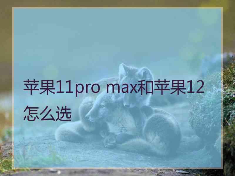 苹果11pro max和苹果12怎么选