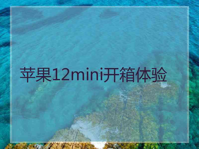 苹果12mini开箱体验