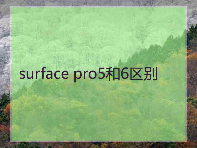 surface pro5和6区别