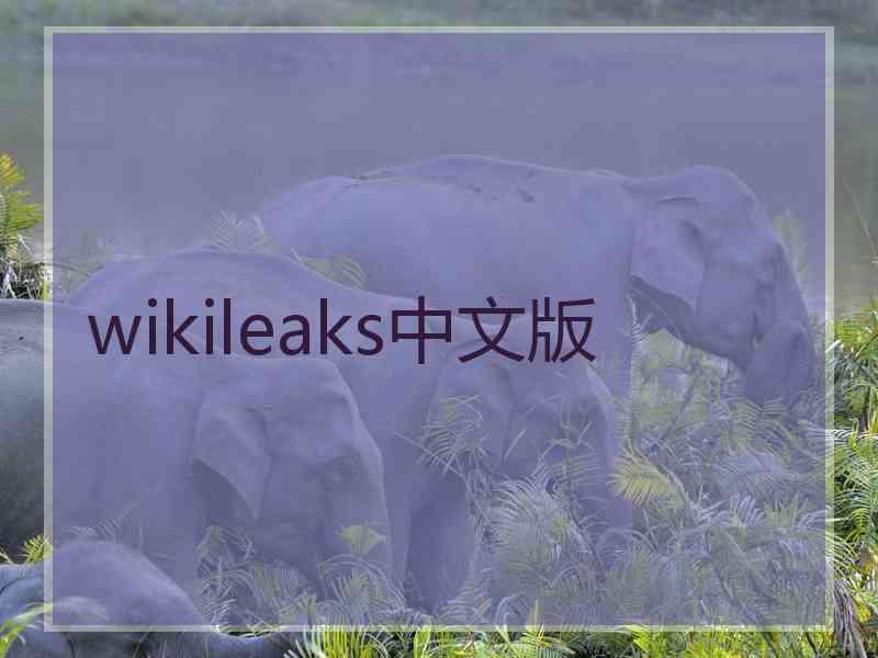 wikileaks中文版