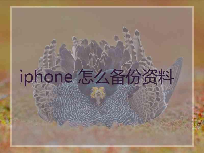 iphone 怎么备份资料