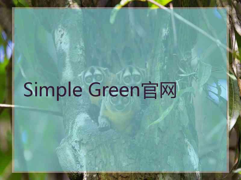 Simple Green官网