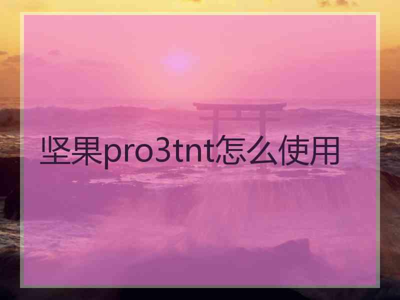 坚果pro3tnt怎么使用