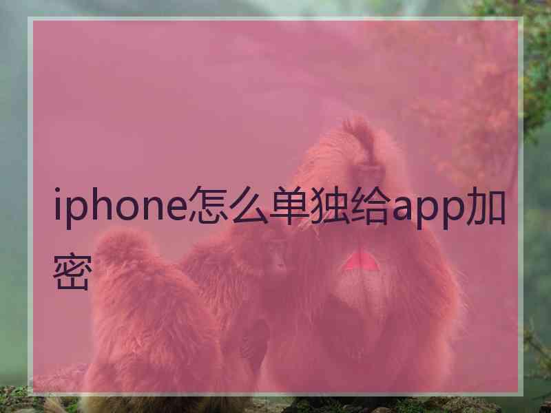 iphone怎么单独给app加密