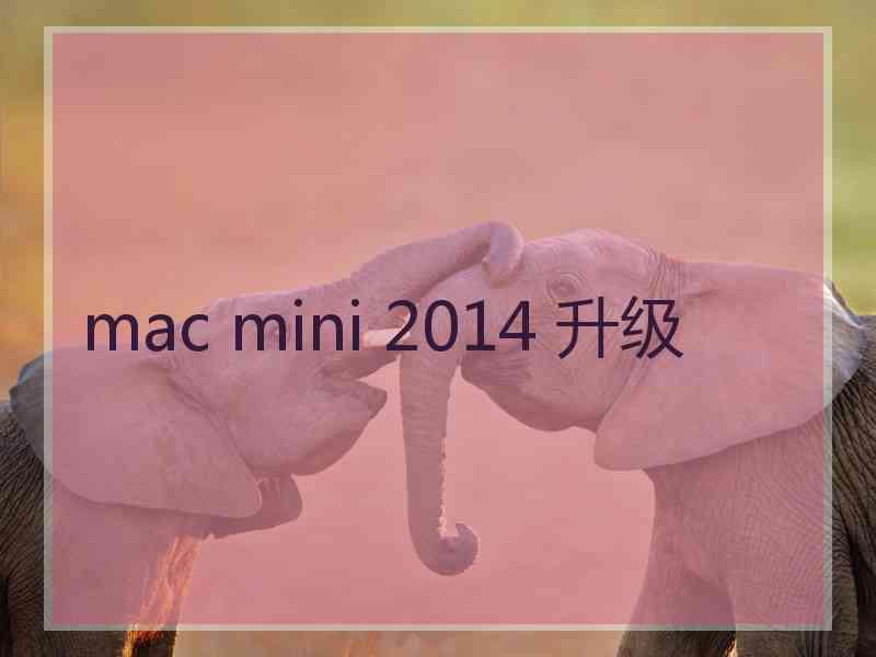 mac mini 2014 升级