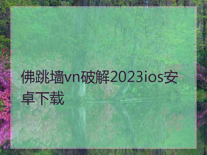 佛跳墙vn破解2023ios安卓下载