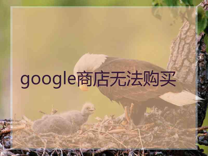 google商店无法购买