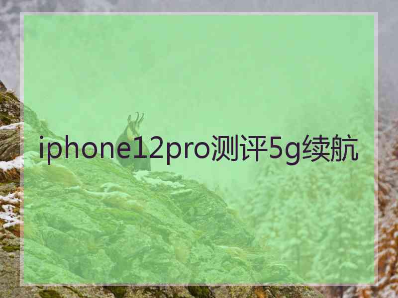 iphone12pro测评5g续航