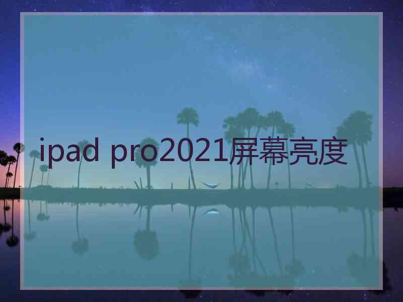 ipad pro2021屏幕亮度