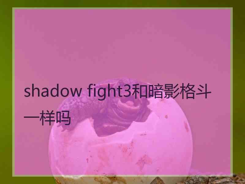 shadow fight3和暗影格斗一样吗