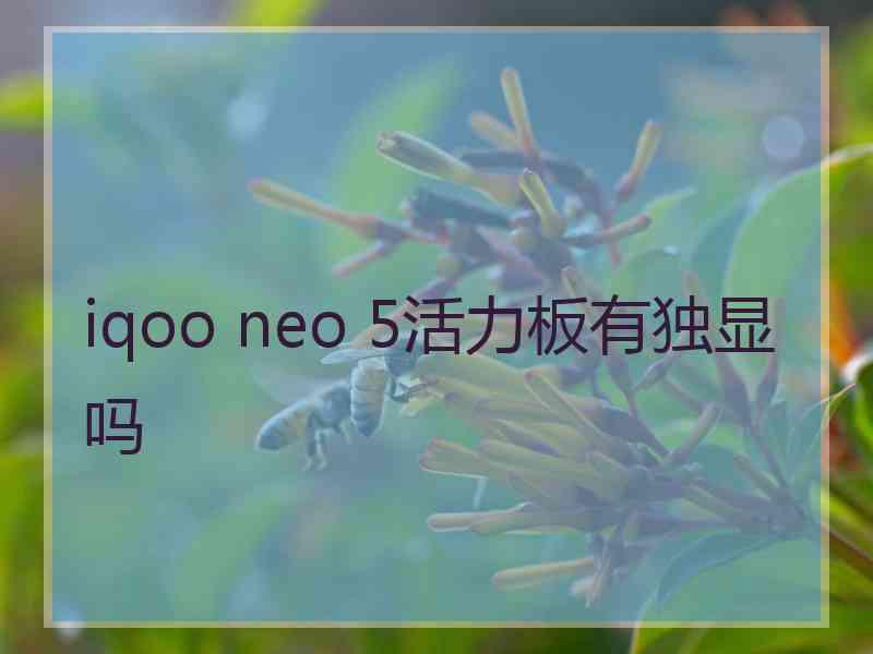 iqoo neo 5活力板有独显吗