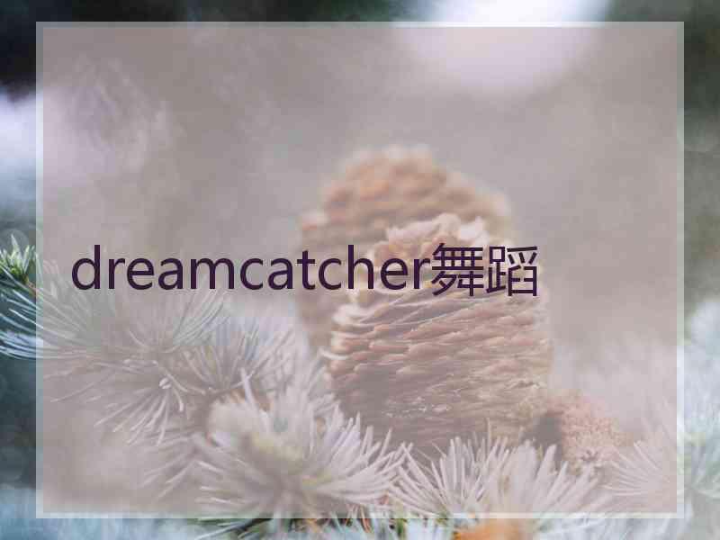 dreamcatcher舞蹈