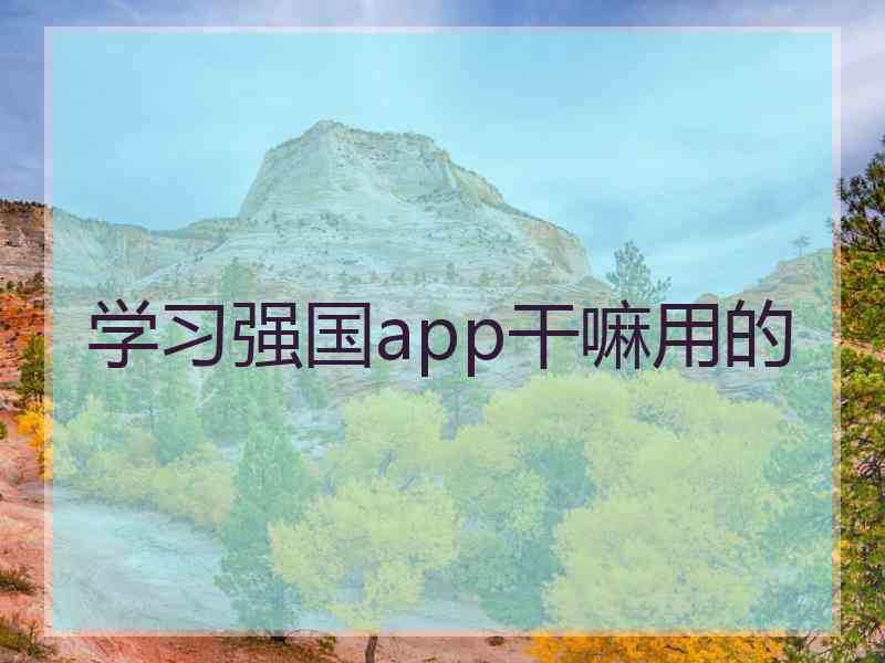 学习强国app干嘛用的