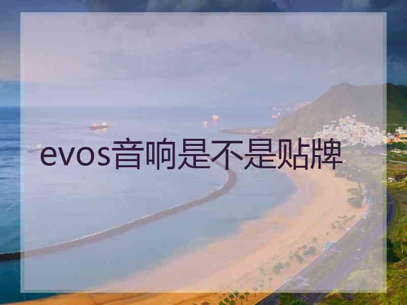 evos音响是不是贴牌