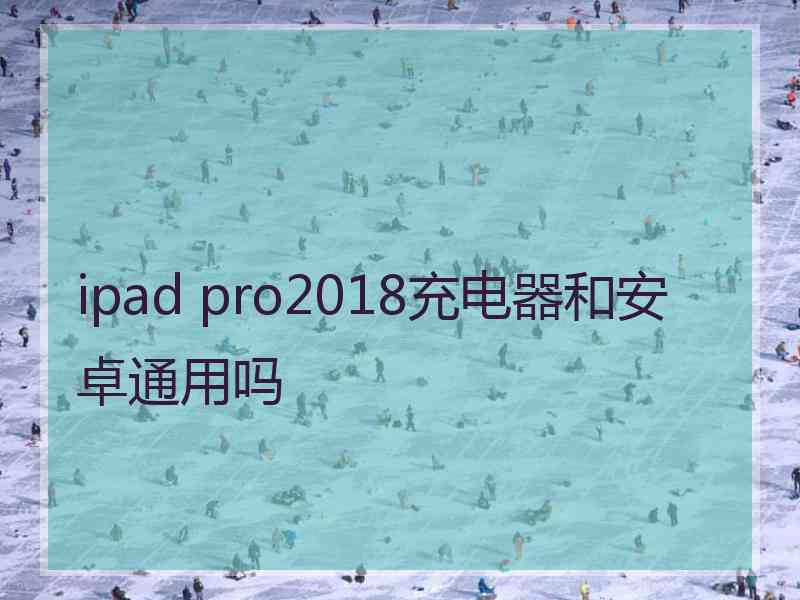 ipad pro2018充电器和安卓通用吗