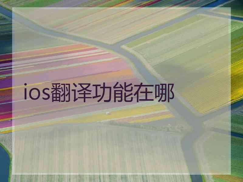 ios翻译功能在哪