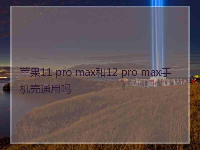 苹果11 pro max和12 pro max手机壳通用吗