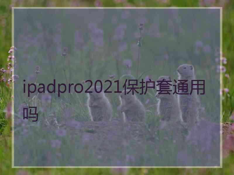 ipadpro2021保护套通用吗