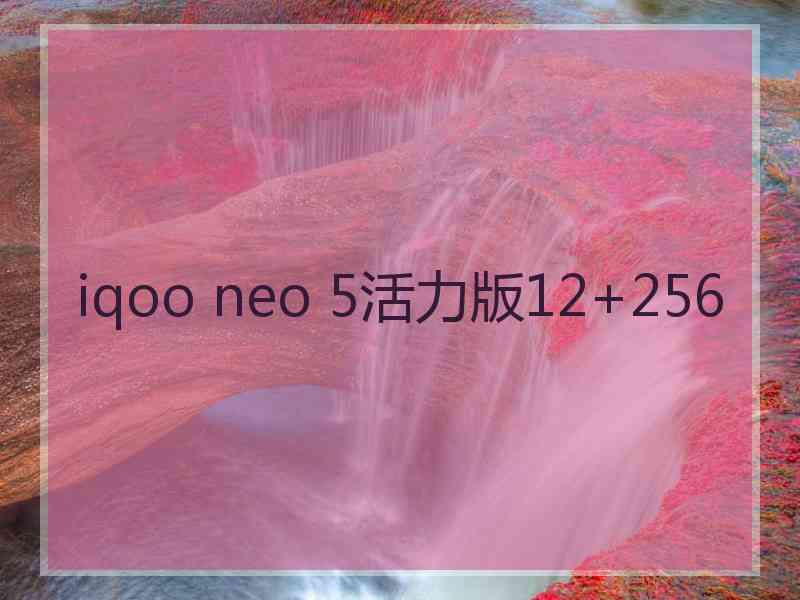 iqoo neo 5活力版12+256