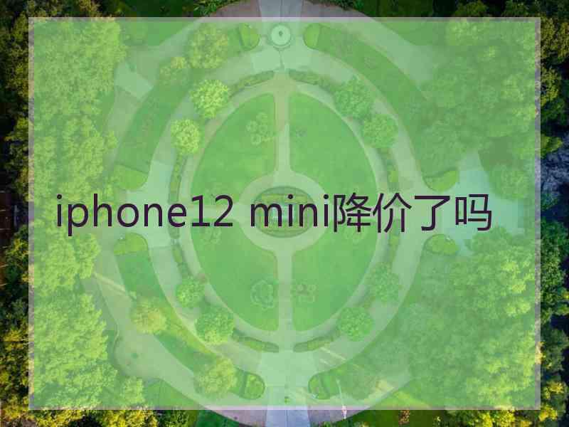 iphone12 mini降价了吗