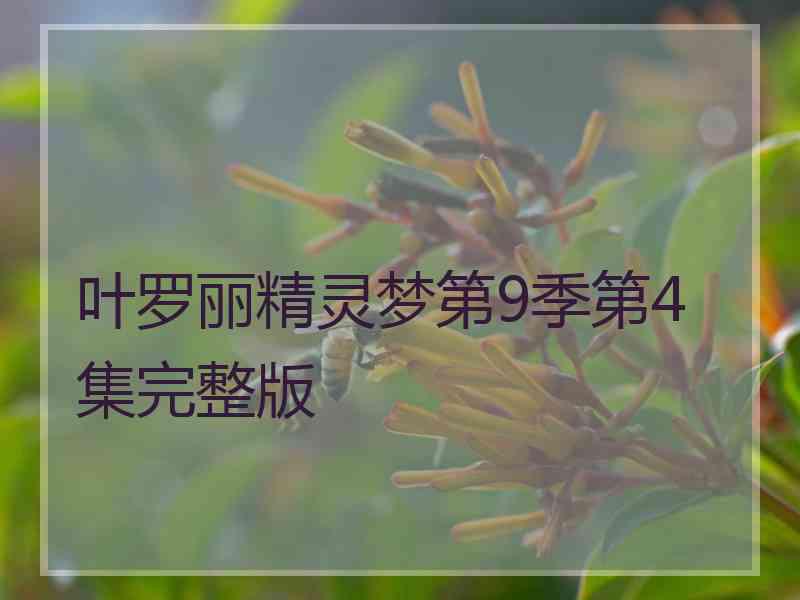 叶罗丽精灵梦第9季第4集完整版