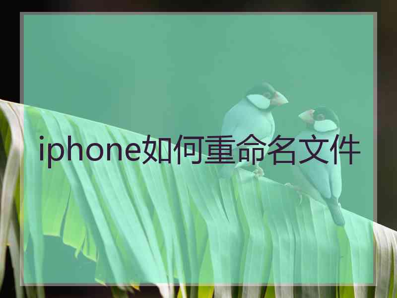 iphone如何重命名文件