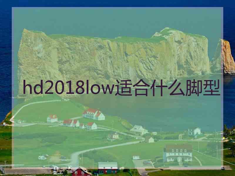 hd2018low适合什么脚型