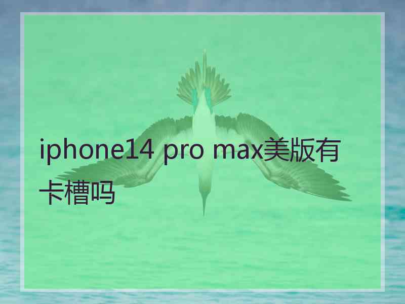 iphone14 pro max美版有卡槽吗