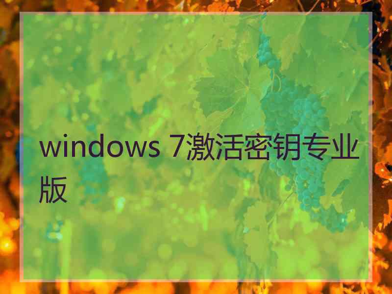 windows 7激活密钥专业版