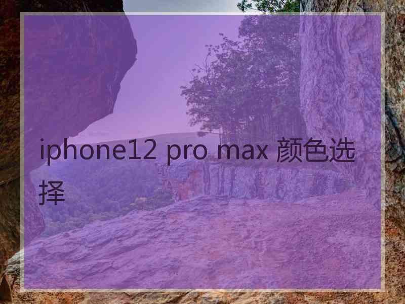 iphone12 pro max 颜色选择