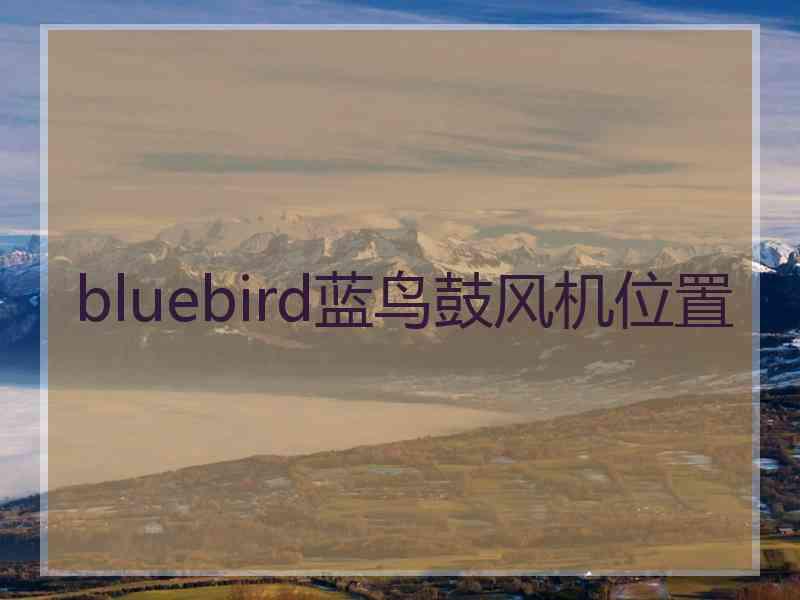 bluebird蓝鸟鼓风机位置