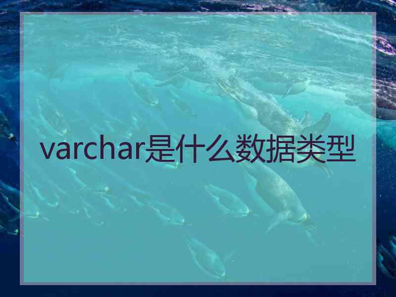 varchar是什么数据类型