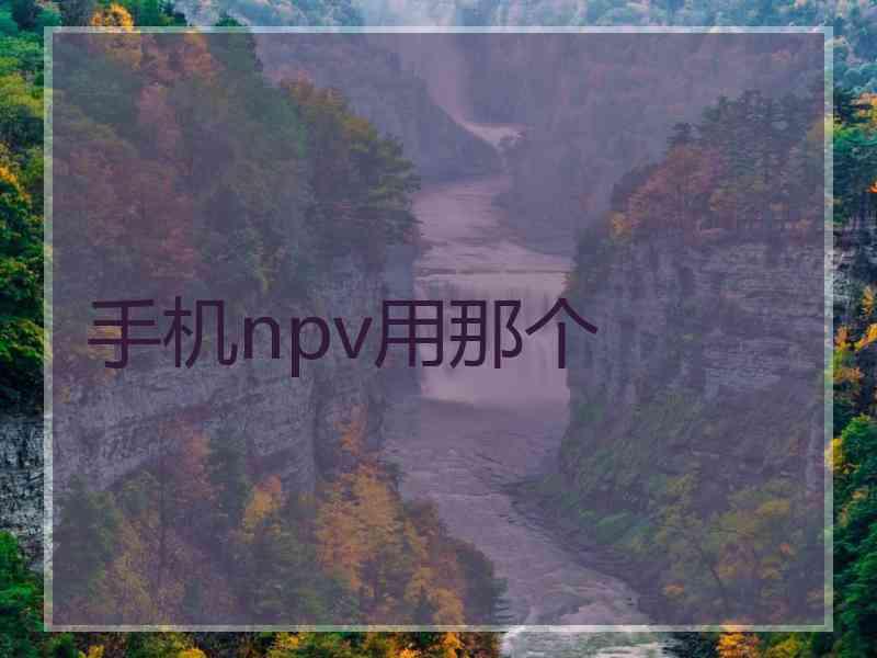 手机npv用那个