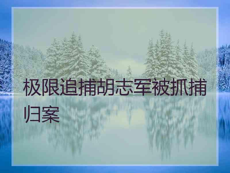 极限追捕胡志军被抓捕归案