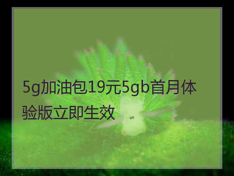 5g加油包19元5gb首月体验版立即生效