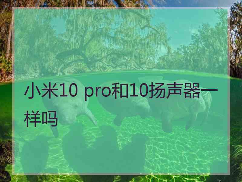 小米10 pro和10扬声器一样吗