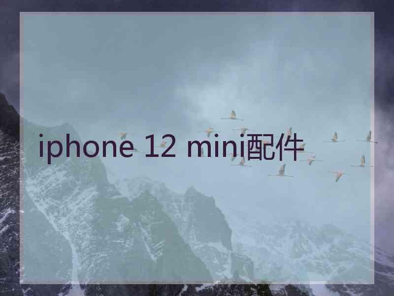 iphone 12 mini配件