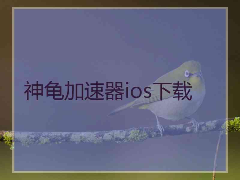 神龟加速器ios下载