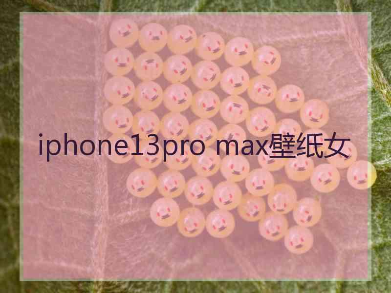 iphone13pro max壁纸女